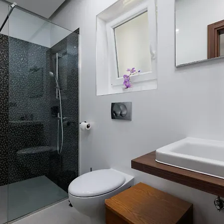 Zely With Outdoor Pool Apartment Porec